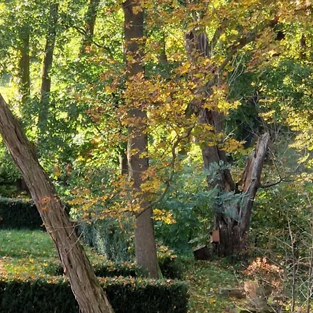 Guest house Schloss Pischkowitz Piszkowice